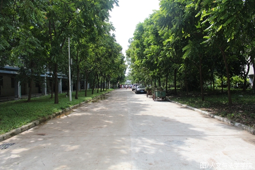 校道焕然一新.JPG 校道焕然一新.JPG