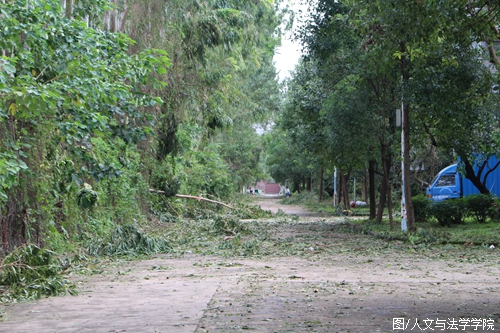 “山竹”过后的校道.JPG “山竹”过后的校道.JPG